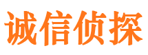 平川侦探公司